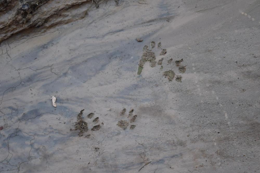 The Inn of Escalante