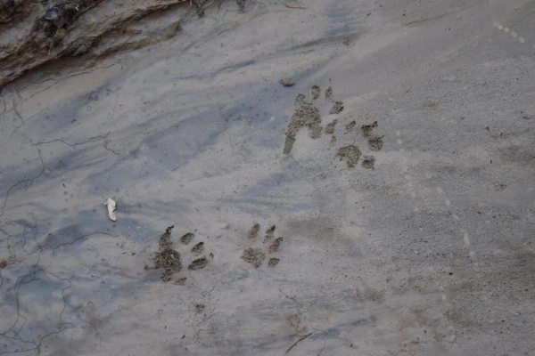 The Inn of Escalante image 5